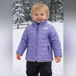 The North Face Toddler Purple Puffer Jacket Winter Coat 2T 2B